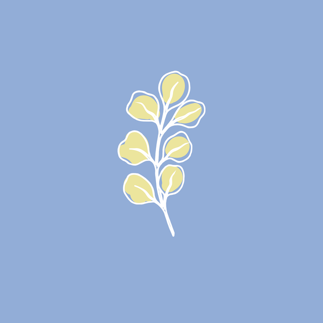 Musee Bath Ingredient Icon