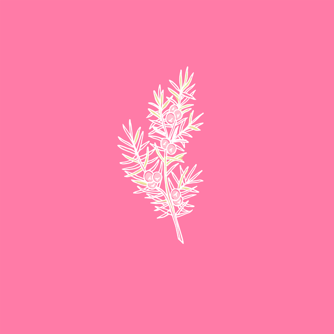 Musee Bath Ingredient Icon
